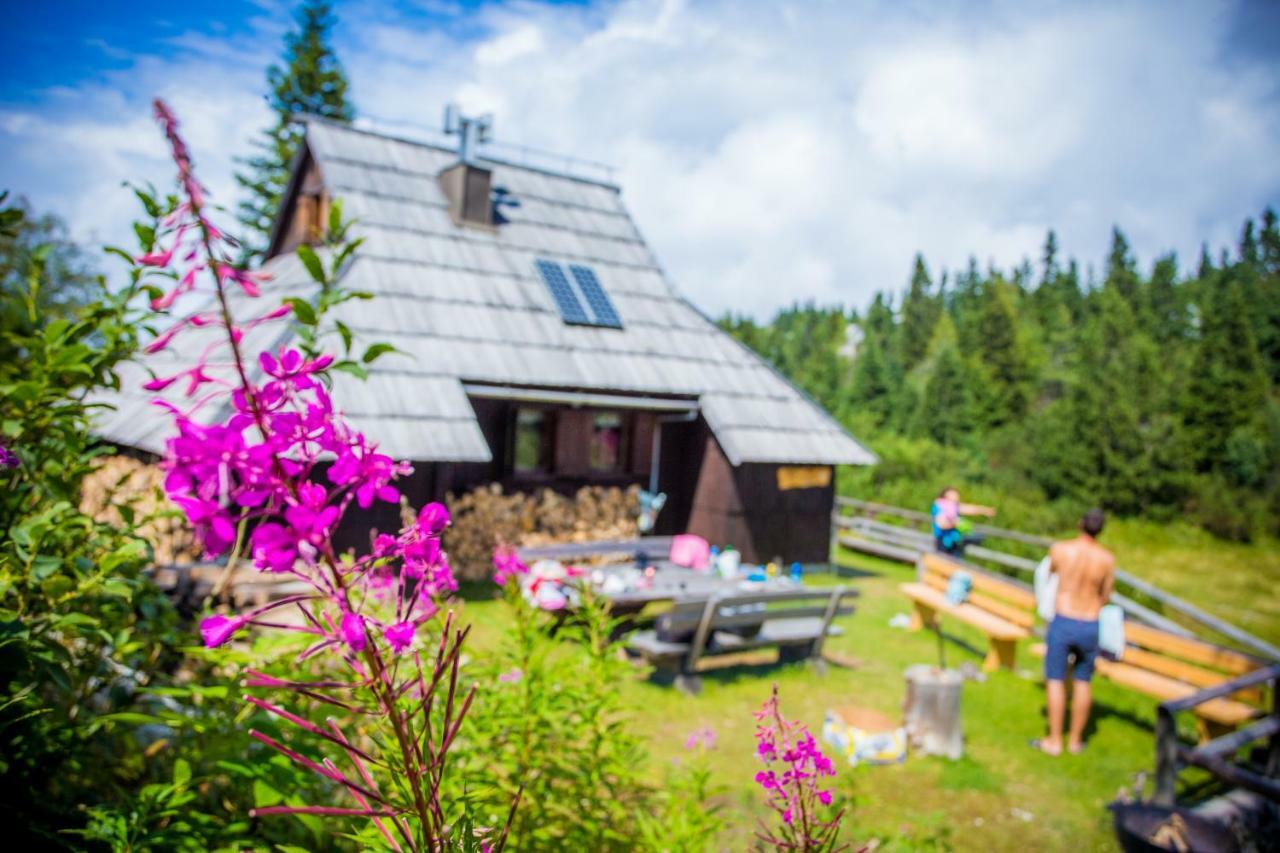 Chalet Tisa Velika Planina Stahovica Exterior foto